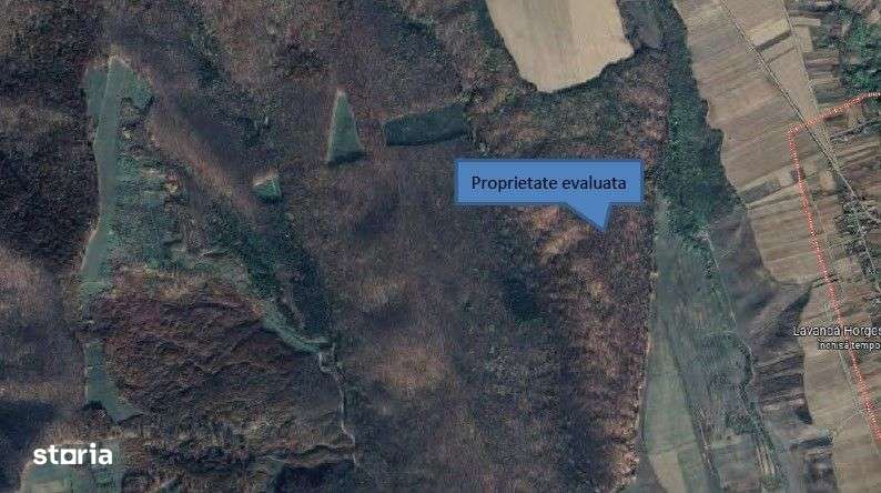 Teren padure, cota de 1/48 Horgesti, ID: R2325871 - Imagine principală: 2/11