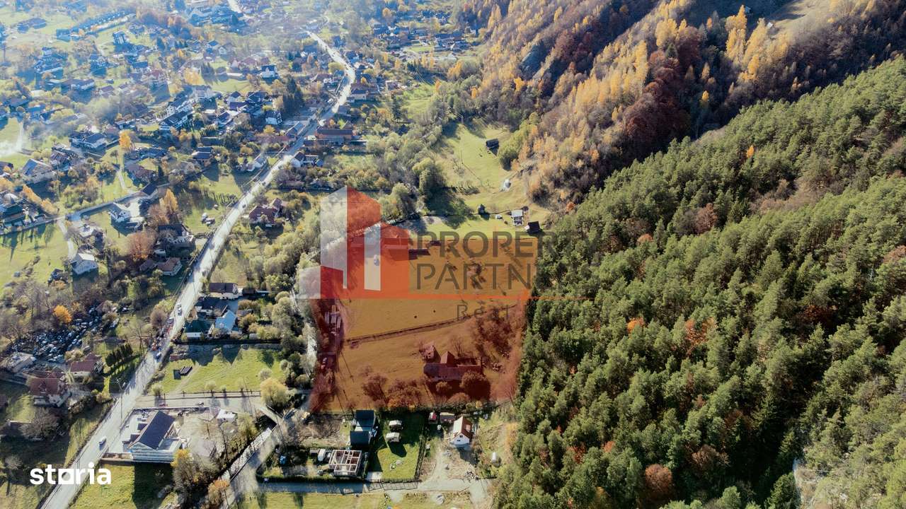 Teren Moieciu 8206 mp - Oportunitate de investitie-2