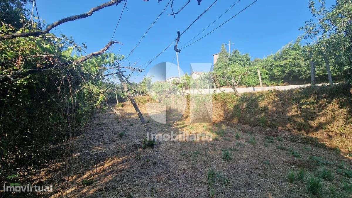 Terreno - potencial de investimento - Astromil - Paredes-24