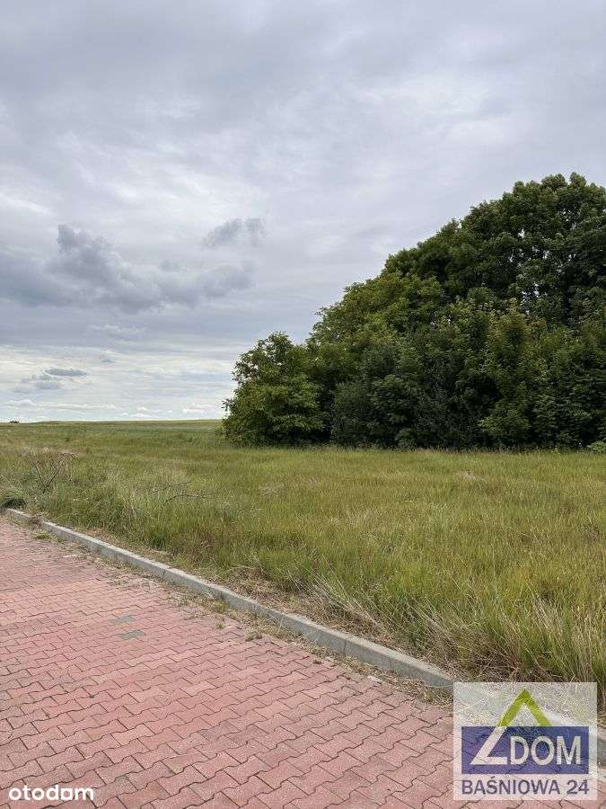 Jakubowice Kon.  działka idealna pod dom z ogrodem - Pełny obrazek: 5/6