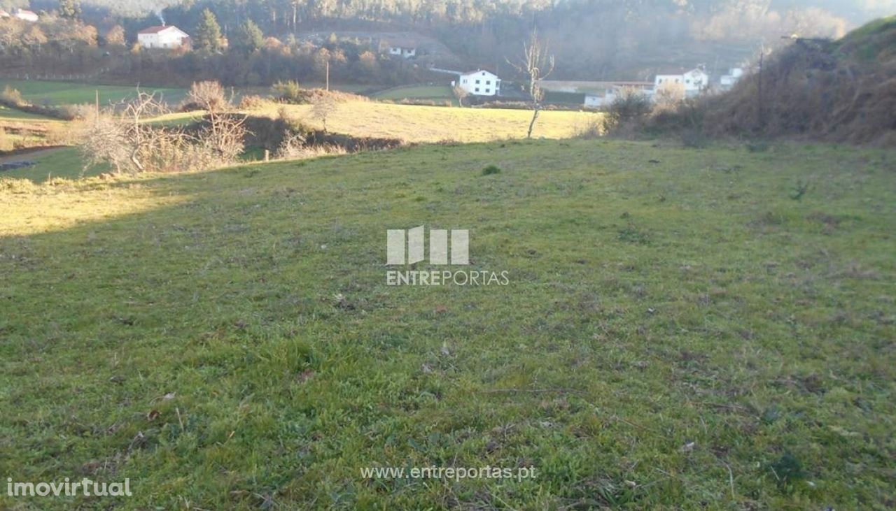 Venda de Terreno, Cunha, Paredes de Coura