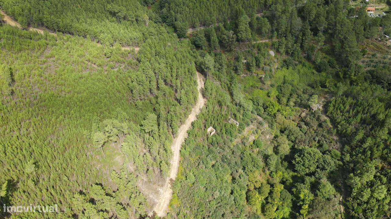 Quinta com várias construções em Seia - Grande imagem: 4/8