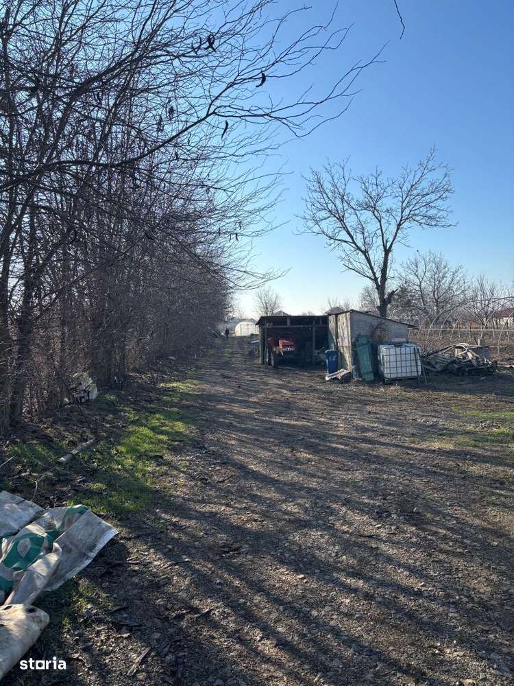 De Vanzare Loturi teren zona Cazasu - Imagine principală: 2/3