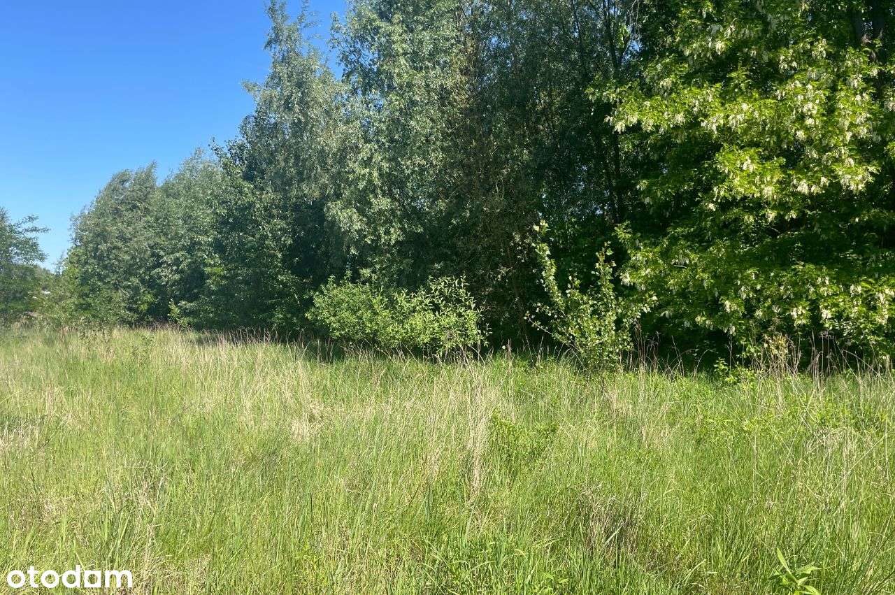 Wyjątkowa oferta - działki budowlane + staw - Pełny obrazek: 5/9