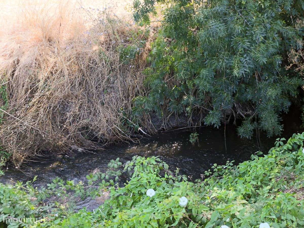 Terreno com 6260m2 destinado á construção de moradia independente. - Grande imagem: 2/15