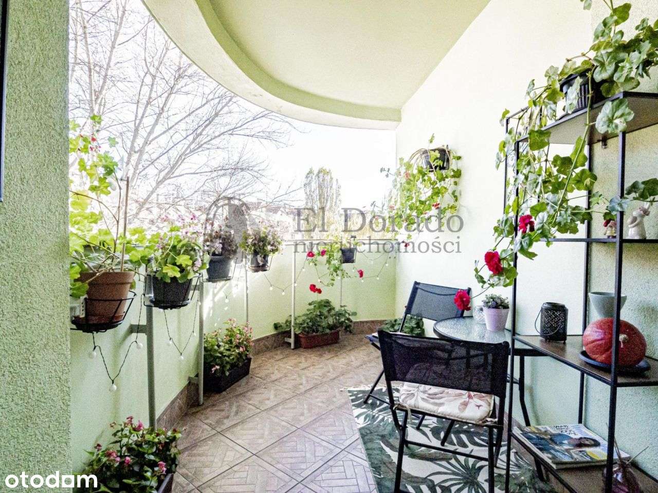 Przestronne mieszkanie z przepieknym balokem wśród-5