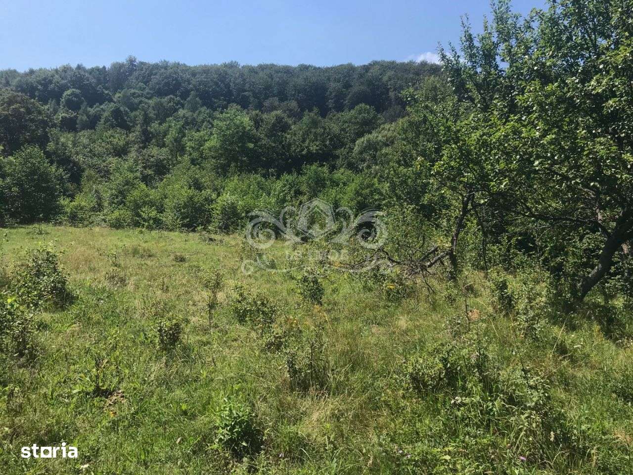 Teren cu livada de vanzare in Albesti de Muscel - Imagine principală: 5/19
