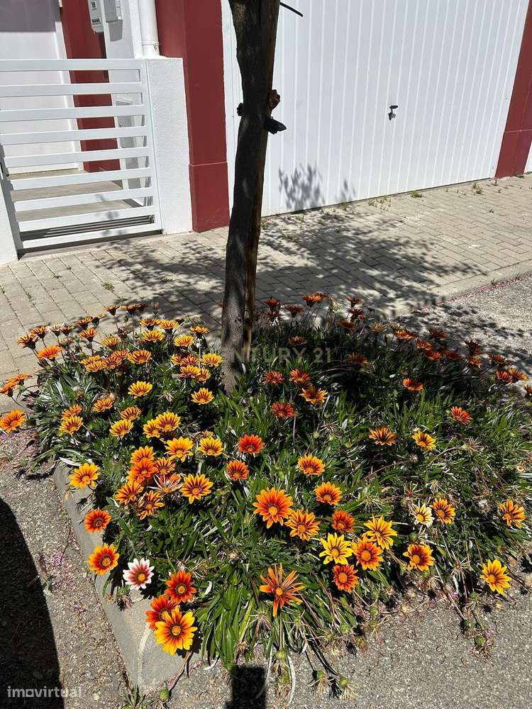 Magnifica T3 com Piscina no Corval - Grande imagem: 5/56