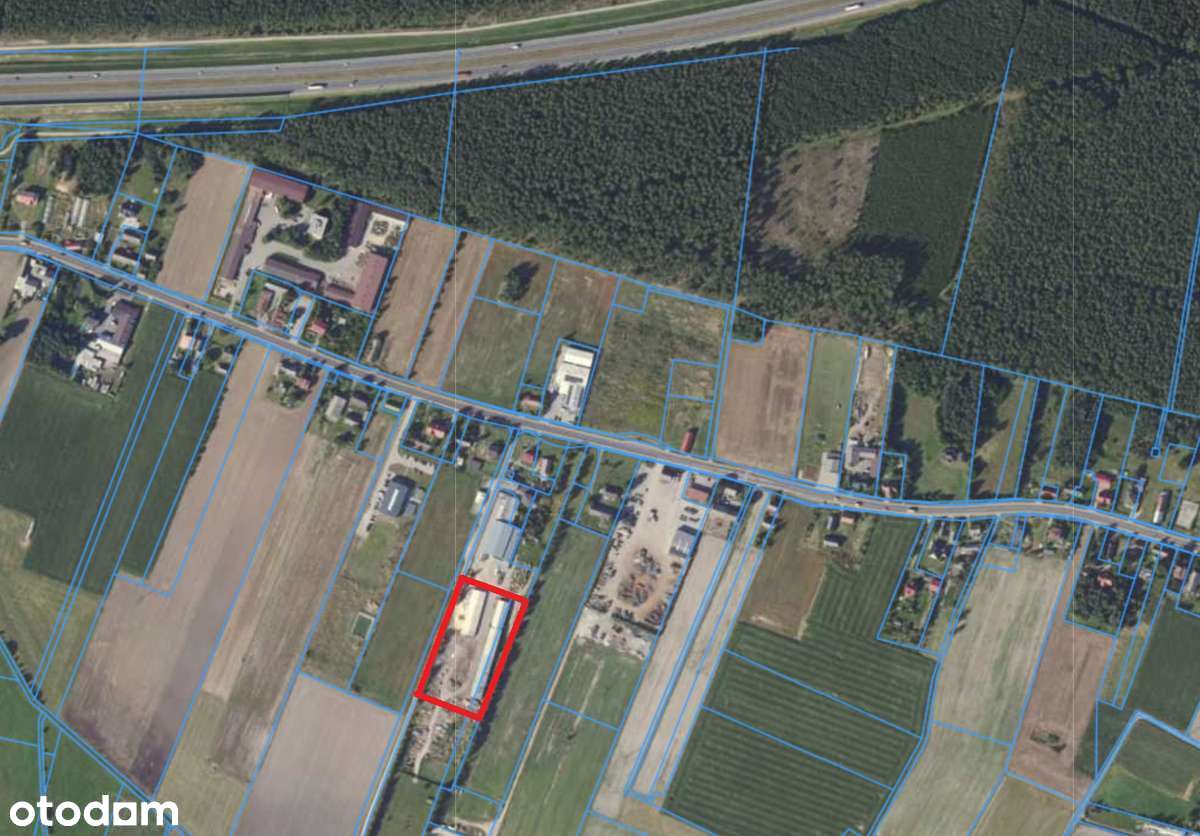 Działka inwestycyjna 1,0053ha - Gola obok Kępna - Pełny obrazek: 5/19