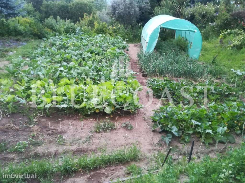 Maravilhosa quinta no Parque natural da Serra da Estrela - Conforto...-27