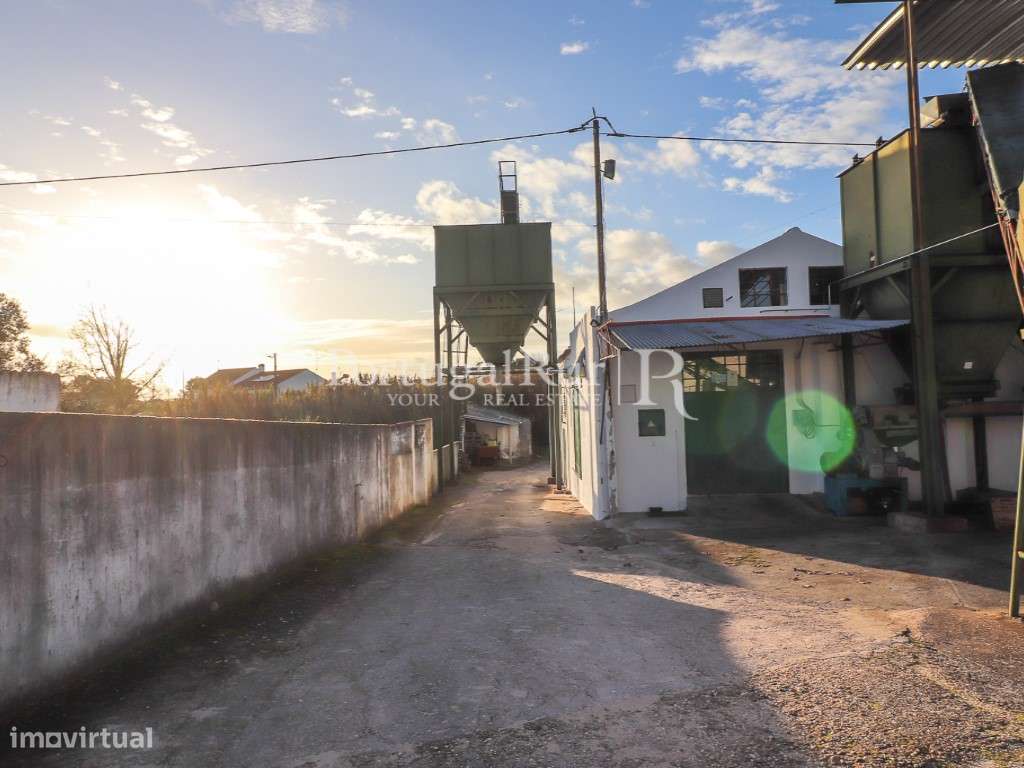 Unidade Industrial de Produção de Azeite & Elevado Potencial Produtivo-41