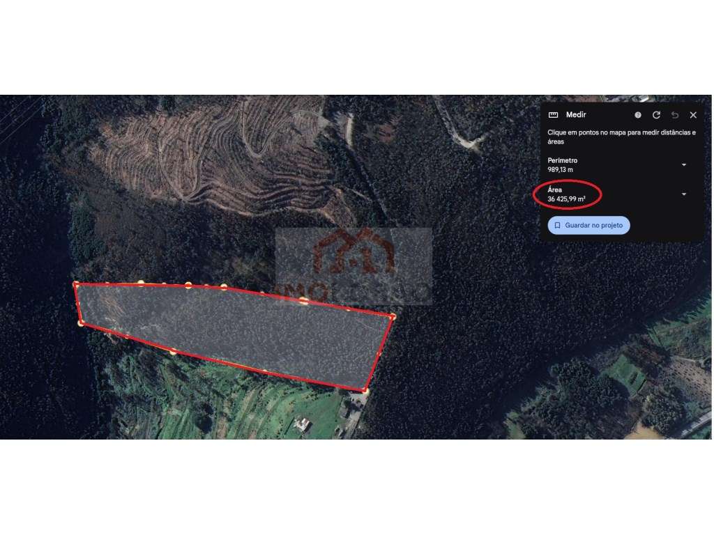 PINHAL - CANEDO - Grande imagem: 2/2