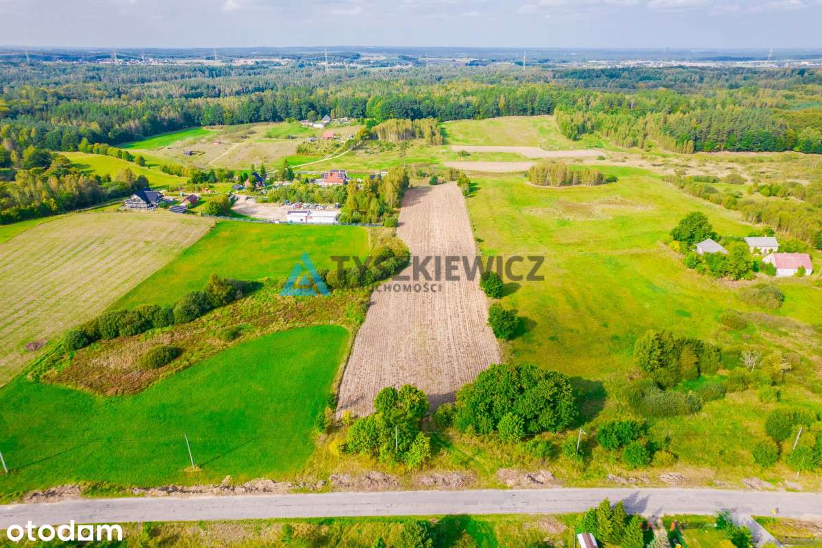 Działki budowalne w Nowej Wsi Przywidzkiej - Pełny obrazek: 3/16