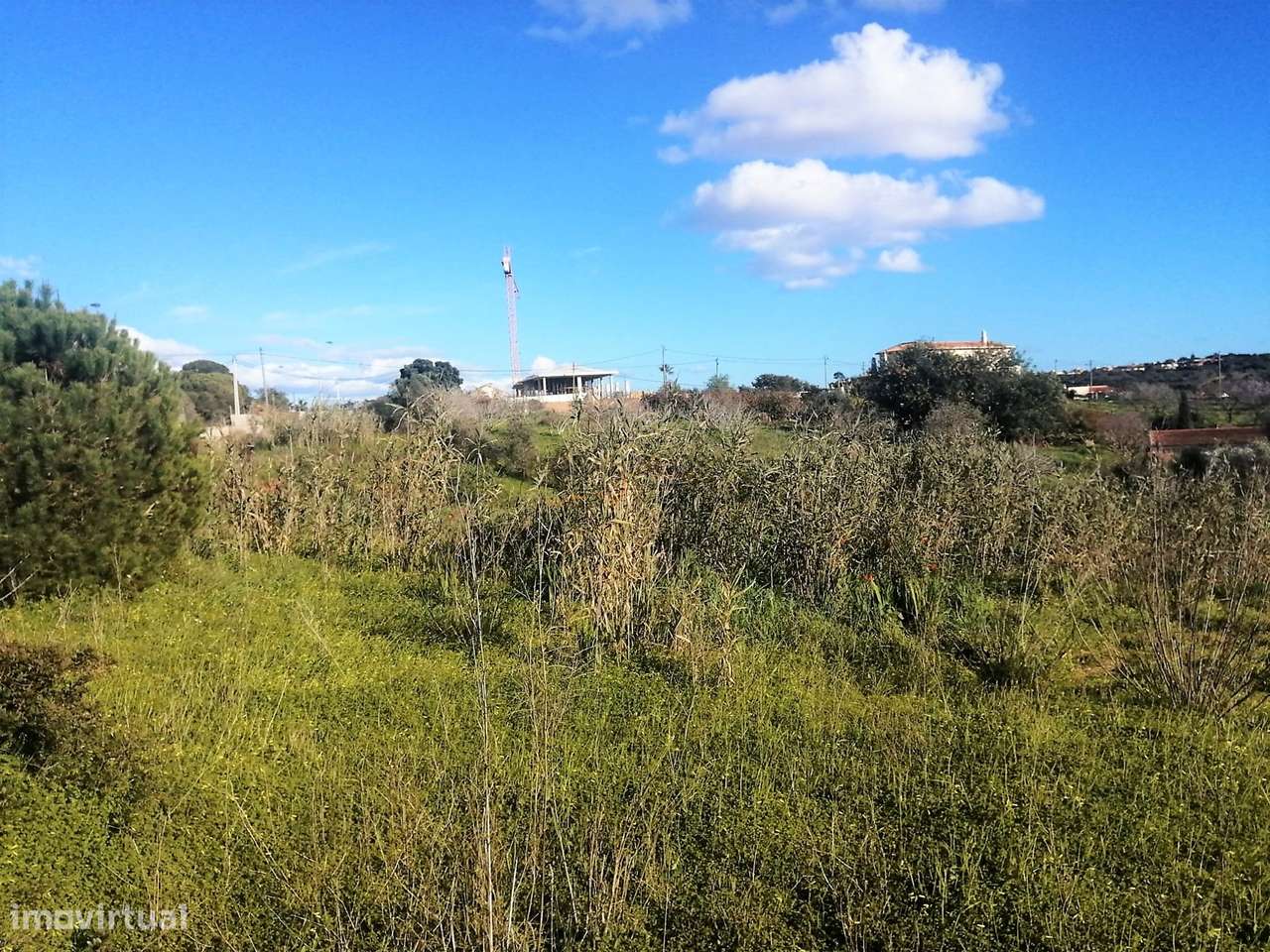 Terreno - Projecto Aprovado - Turismo Rural - Estombar - Lagoa - Grande imagem: 4/8