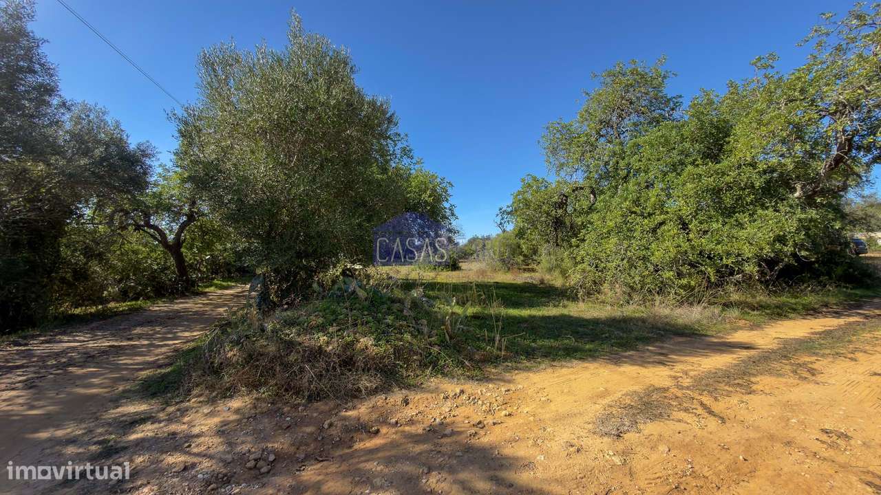 Terreno Rústico plano a 10min de Olhão. Oportunidade-10