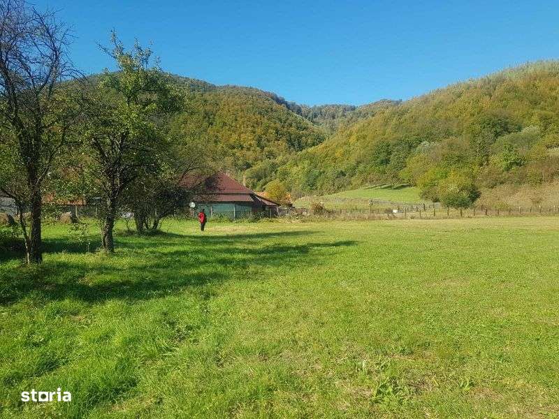 Teren de vanzare  sau  Inchiriere - Imagine principală: 4/7