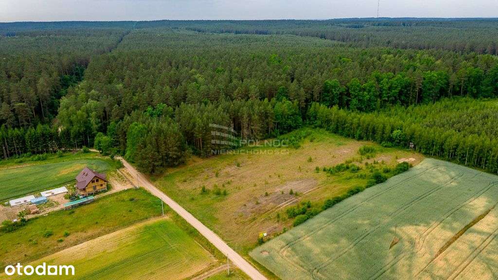 Zaciszna działka 3198 m2 blisko lasu! - Pełny obrazek: 4/20