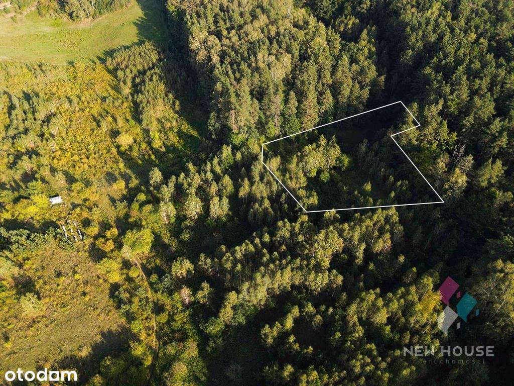 Atrakcyjna działka budowlana, Dywity, inwestycja - Pełny obrazek: 4/7