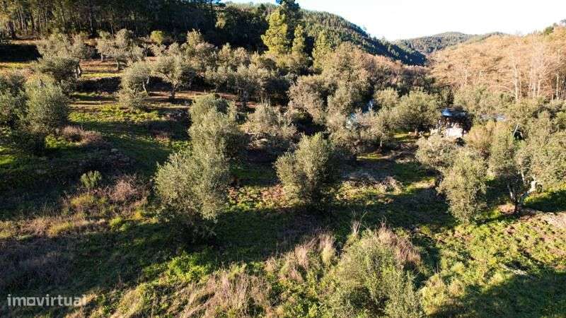 Terreno - Grande imagem: 1/17