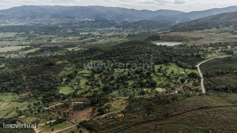 Terreno / Fundão, Telhado - Grande imagem: 4/7