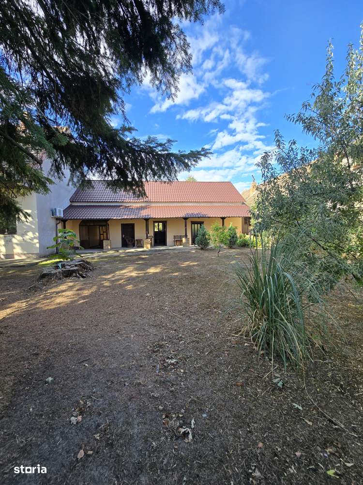 Cenad-Casa individuala -teren 549mp-10