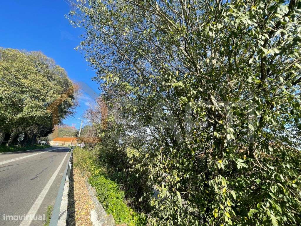 Terreno urbano para construção em Santarém - Grande imagem: 5/23