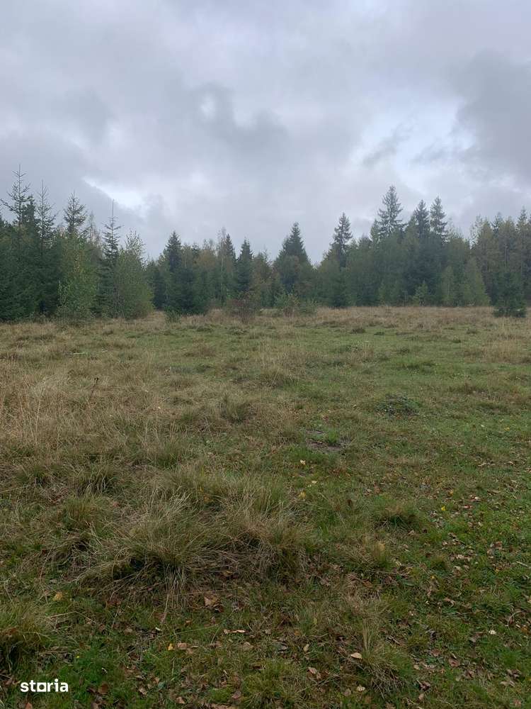 Teren extravilan, judet Cluj - Imagine principală: 2/2