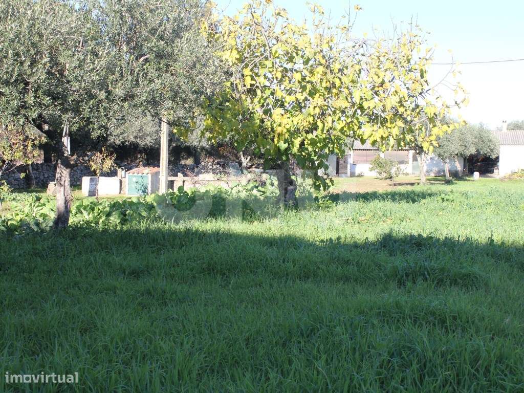 Quinta para venda em Oledo, Idanha-a-Nova, Portugal-12