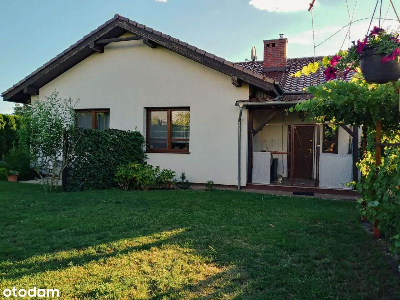 Suchy Las -Zielątkowo - ZMIANA CENY-13