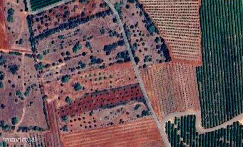 Terreno rústico plano com uma área de 7220 m² - Grande imagem: 2/6