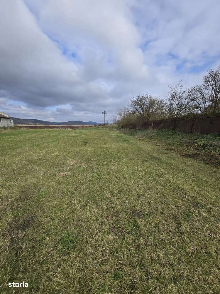 Teren Extravilan + o constructie  de Vânzare – Șeica Mică-4