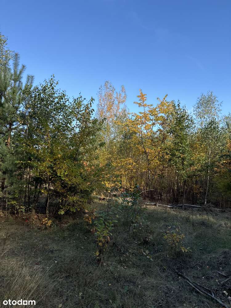 Do Parku Chojnowskiego 400 m, blisko do pociągu-9