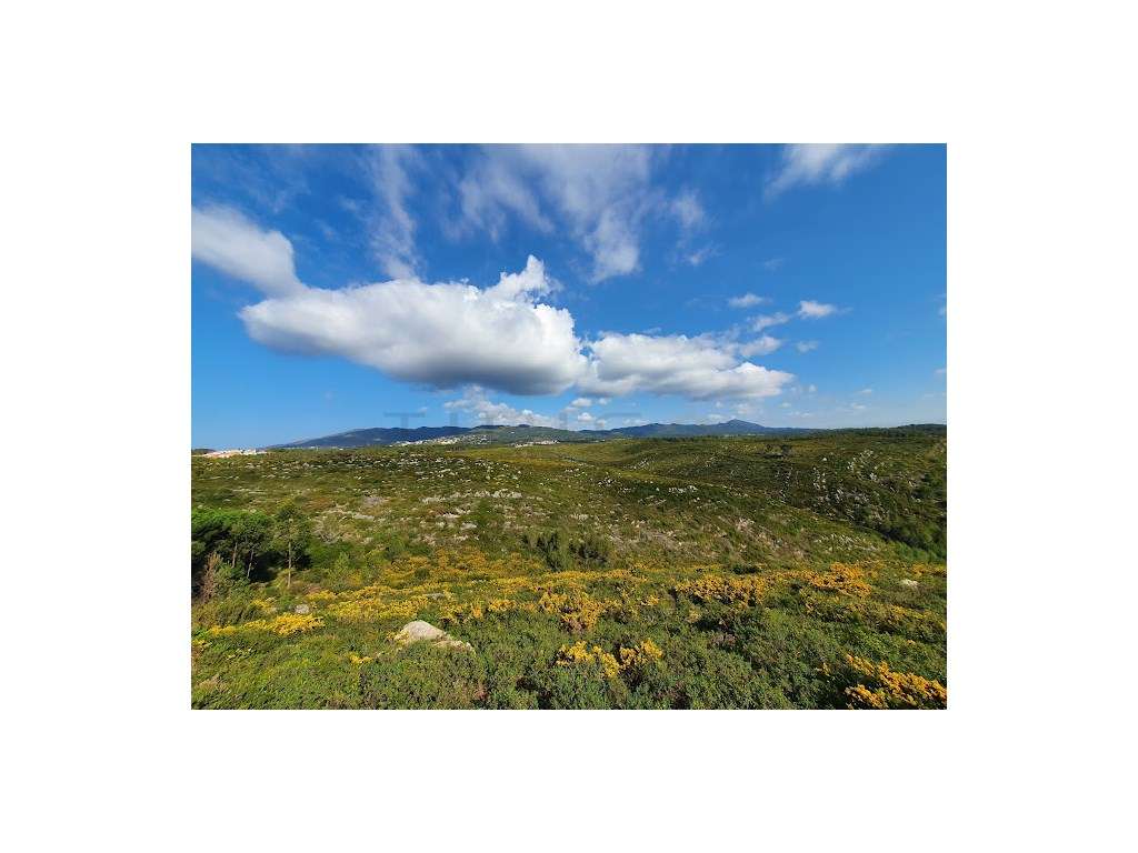 Moradia V4 Cascais NOVO-33