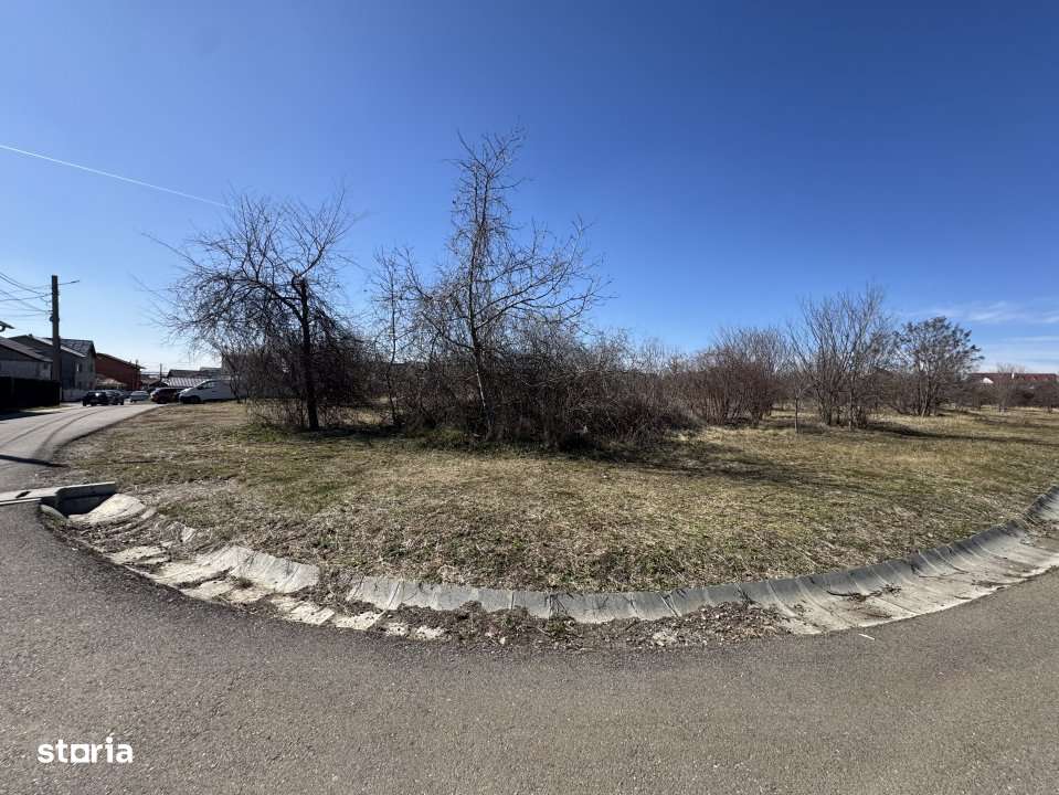 Cel mai bun teren din Paulesti-10