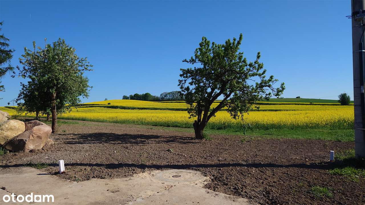 Działki budowlane pod Głogowem - Modła - Pełny obrazek: 4/8