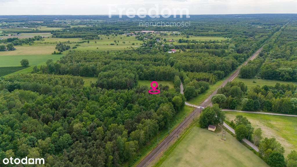 Działka budowlana 3000m2 Ludwików - Pełny obrazek: 1/8