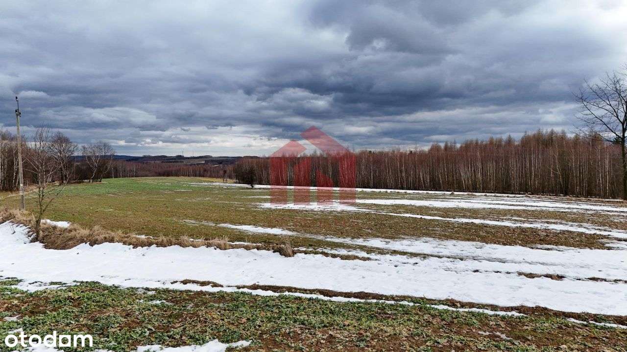 Ropczyce Tylko 4 Takie działki ul.Leśna-1