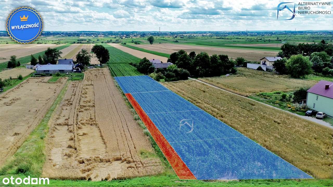 Działki budowlane po 1000m2 - 8 min do Zamościa - Pełny obrazek: 5/10