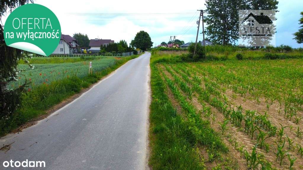 Działka budowlana pod Twój Dom, Panieńszczyzna - Pełny obrazek: 3/4