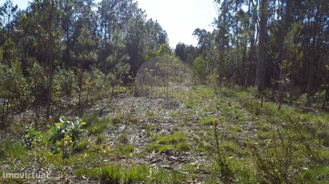 Terreno  para venda - Grande imagem: 1/3