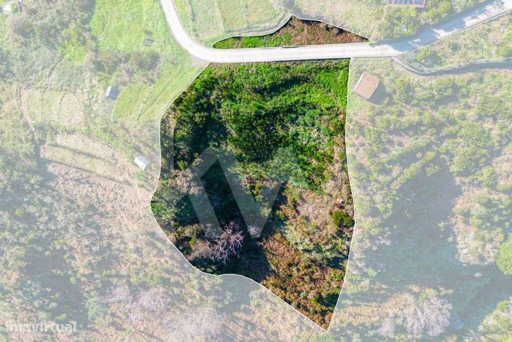 Terreno com 2226 m2 - Fajã das éguas - 3 Palheiros em ruína - Ribeira - Grande imagem: 3/9