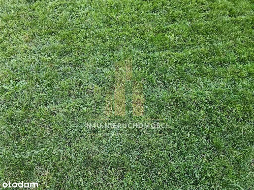 Media Mpzp 1 km od Szkoły Kanalizacja-1