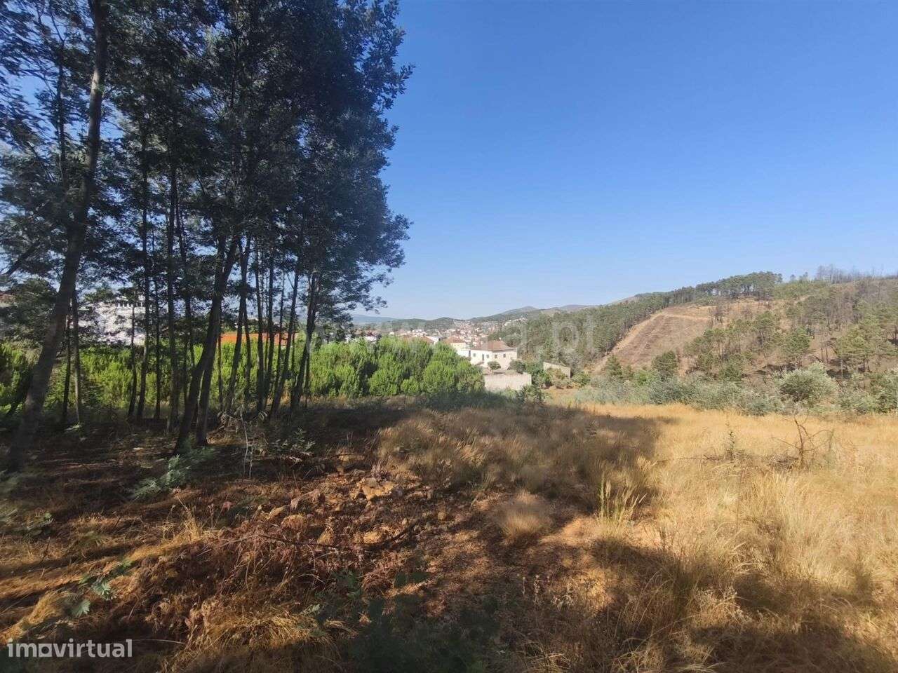 Terreno Rústico / Fundão, Silvares - Grande imagem: 5/7
