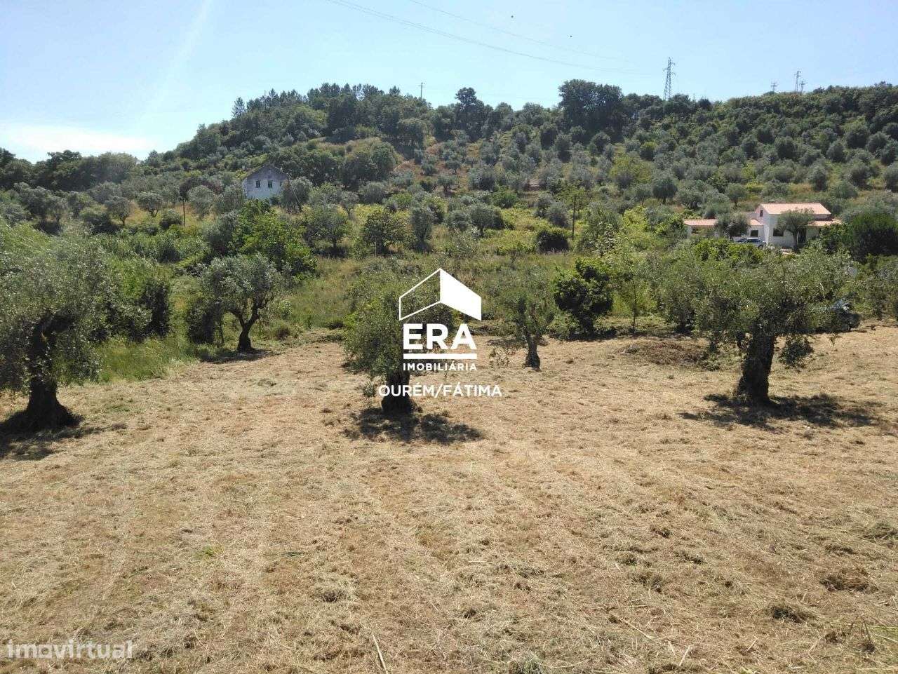 Terreno para Construção perto de Ourém - Grande imagem: 2/9