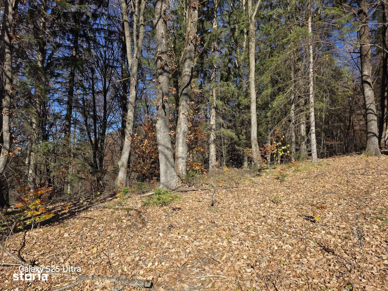 Oportunitate teren în cea mai pitorească zonă de munte! Comision zero!-9