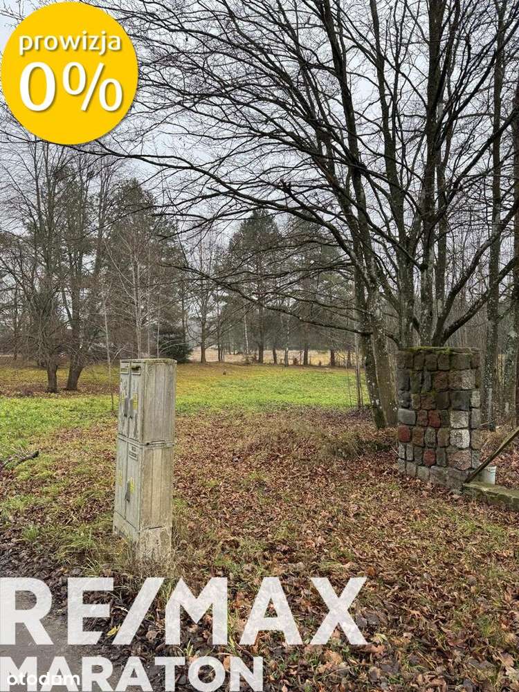 Urokliwa działka, 13 minut jazdy z Olsztyna-4