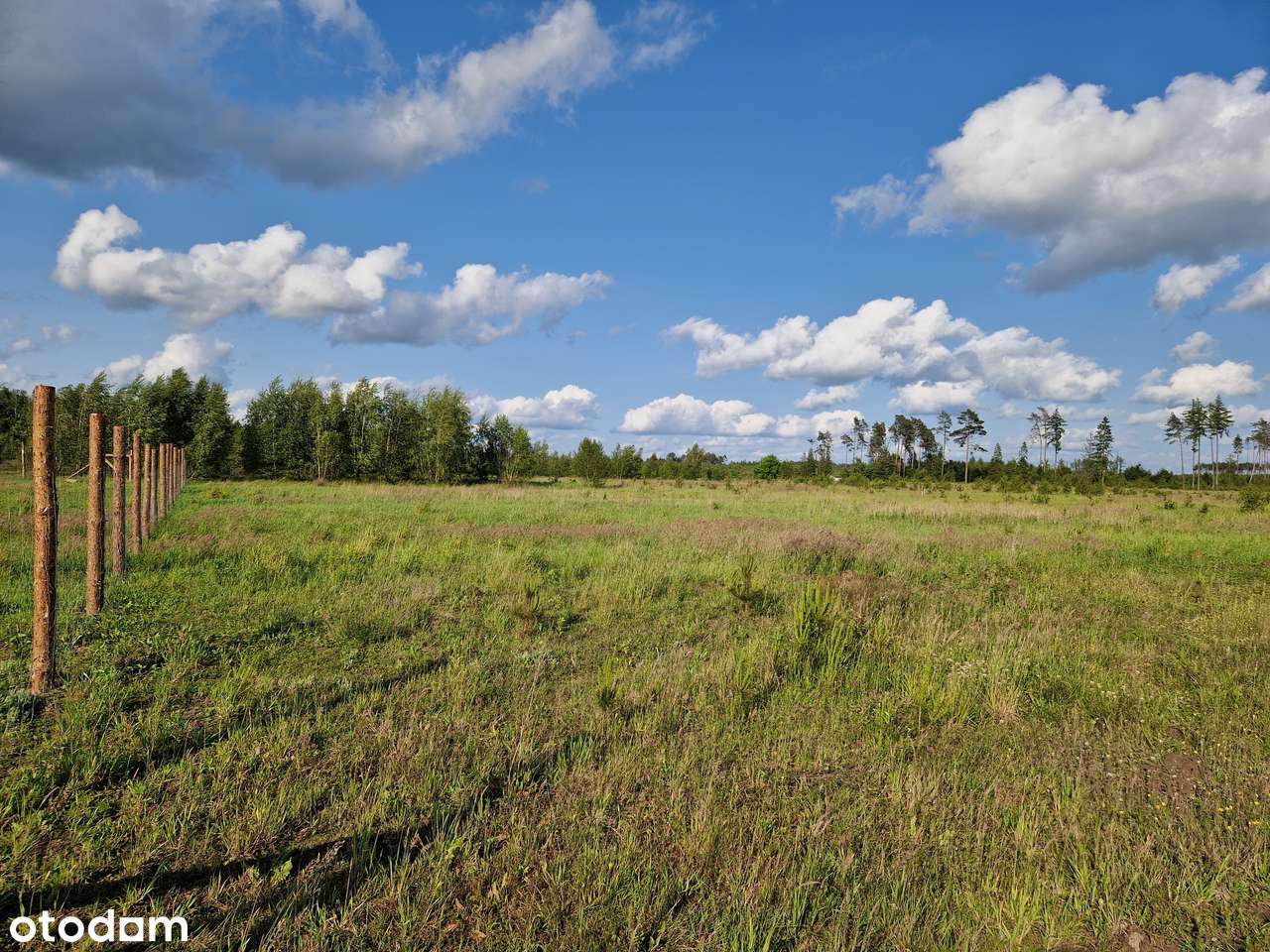 Wyjątkowa działka, idealny metraż, świetne sąsiedztwo, 15km od Chojnic - Pełny obrazek: 5/9