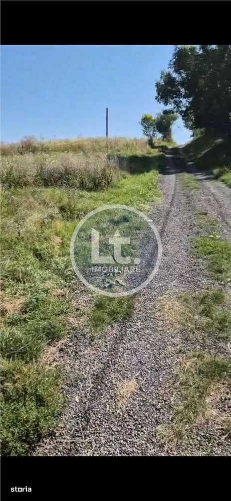 Teren DE VANZARE Dumbravioara, Intravilan - Imagine principală: 2/5