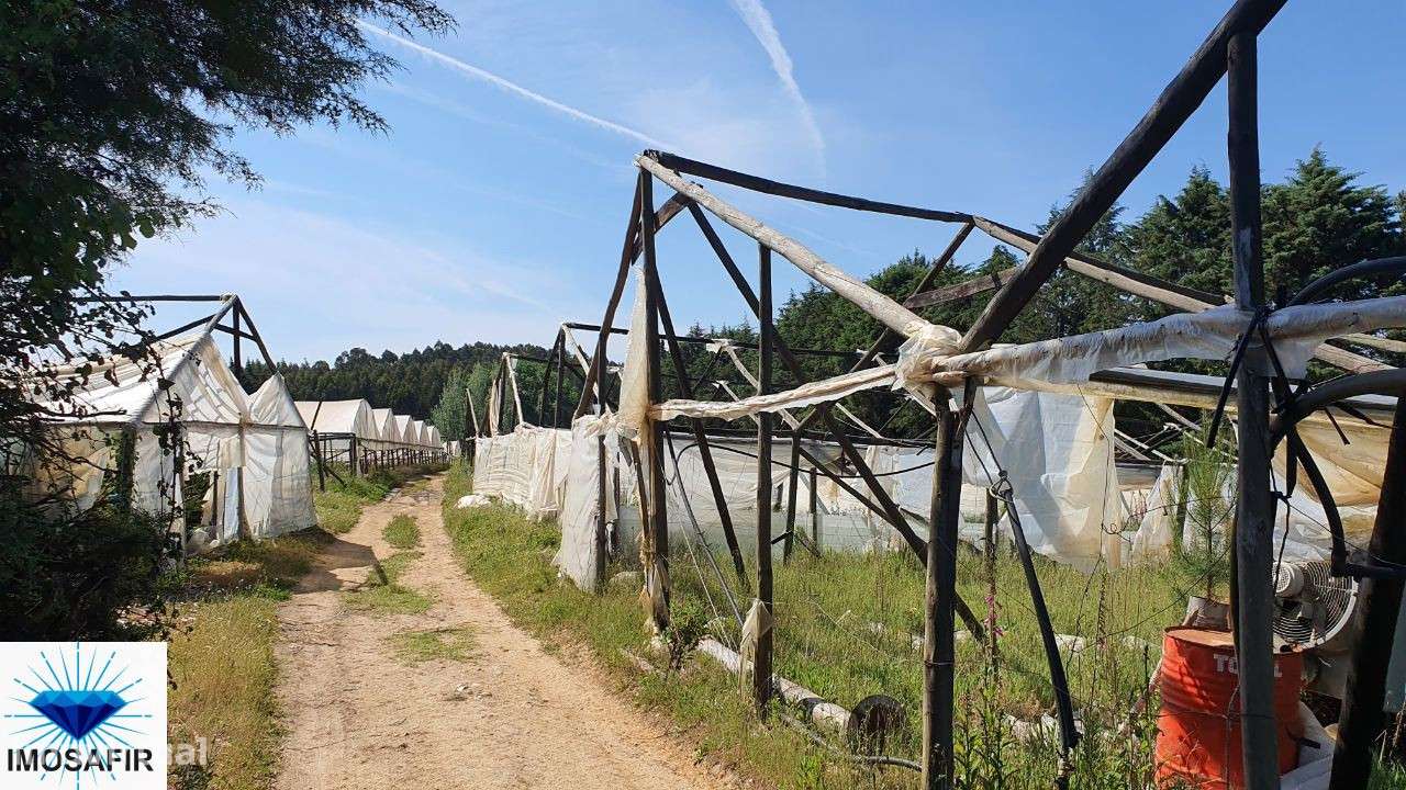 Terreno 1 Hectar com furo e sistema de rega - Grande imagem: 4/7