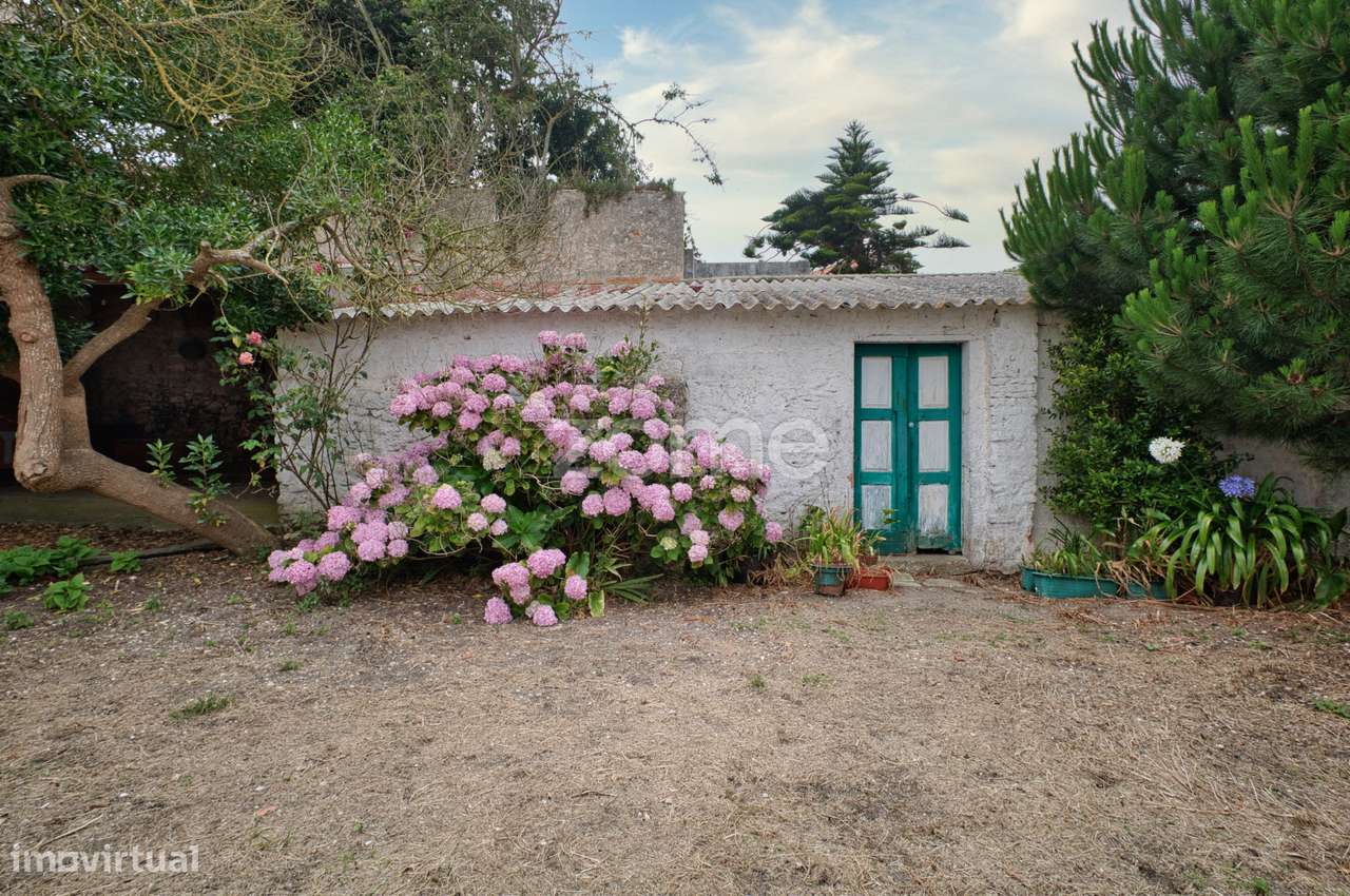 T10 no melhor Sitio da Nazaré-30